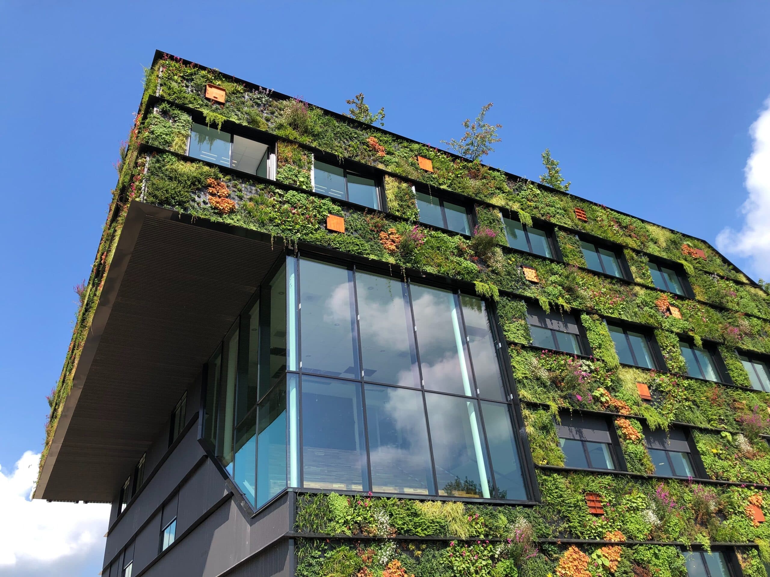 Cover Image for The ultimate 2024 green credentials guide for Australian commercial property landlords