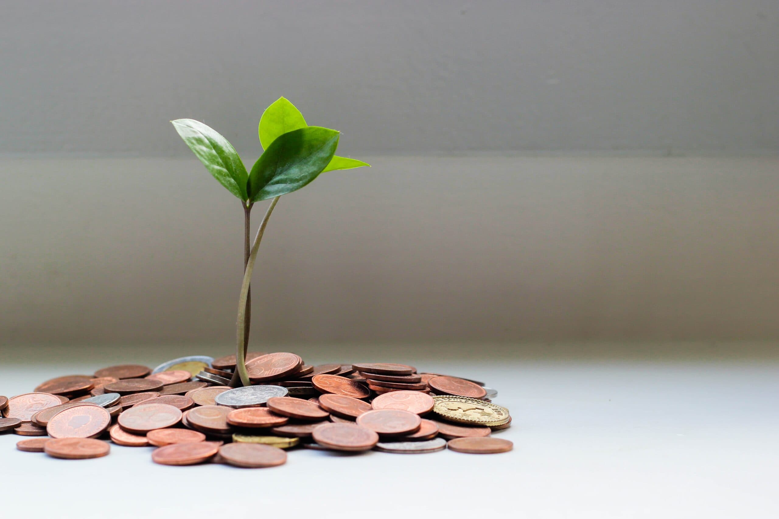 Cover Image for Investing in commercial real estate during high interest rate environments